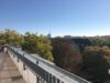 seniorengerechte Wohnung im Kreuzviertel! - Blick von der Dachterrasse